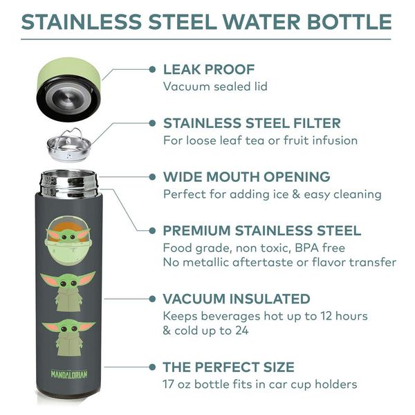 The Child Vacuum Insulated Stainless Steel Water Bottle, 17 oz