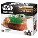 Mandalorian The Child Cat Grass Planter - Decorative & Healthy, Easy to Grow