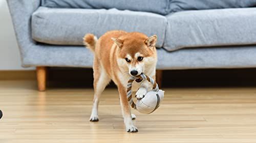 The Mandalorian Rope Ring with Plush Head Dog Toy